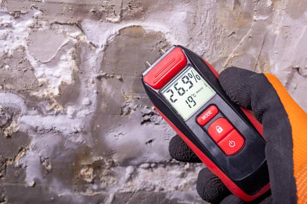 Best Mold Testing  in Rancho Palos Verdes, CA