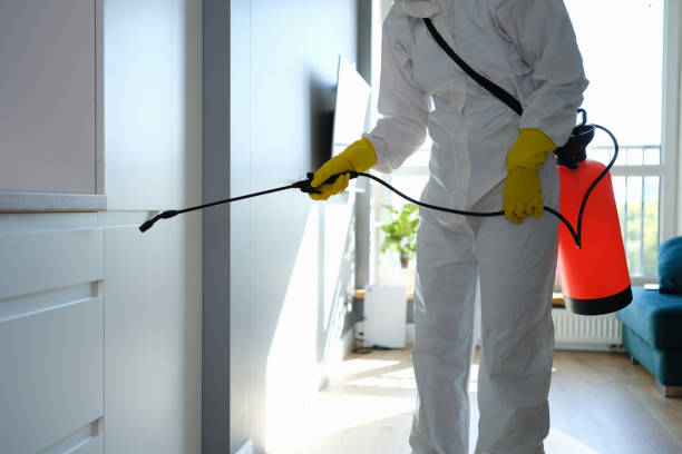  Rancho Palos Verdes, CA Mold Removal Pros