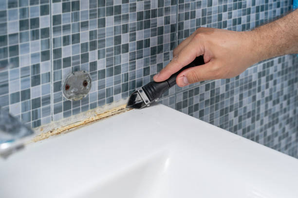 Best Commercial Mold Removal  in Rancho Palos Verdes, CA